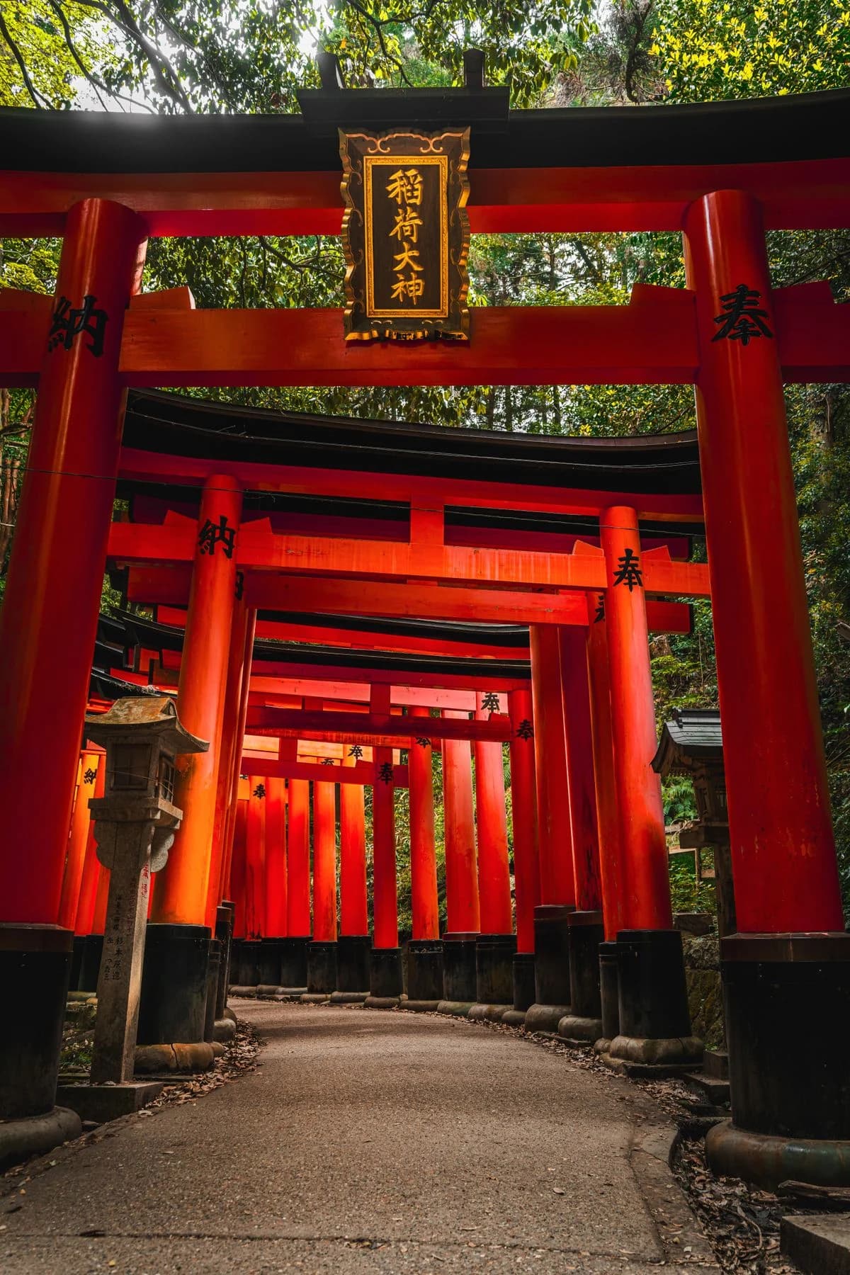 A winding stone path beneath vermilion torii gates in Kyoto's sunlit forest